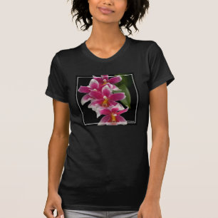 Miltonioda Sakura T-shirt