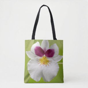 Miltoniopsis Roezlii (Pansy Orchids) Draagtas