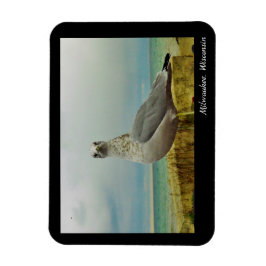 Milwaukee, Wisconsin Magneet