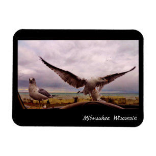 Milwaukee, Wisconsin Magneet