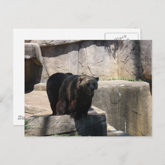 Milwaukee zoo beer briefkaart (Voorkant / Achterkant)