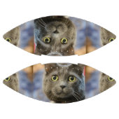 Mimmy do american football (Panelen)