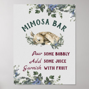 Mimosa Bar Baby Het is koud buiten Baby shower Poster