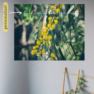 Mimosa-boom met gele bloemen poster