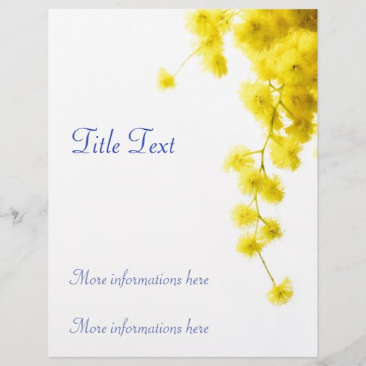 Mimosa Flyer (Voorkant)