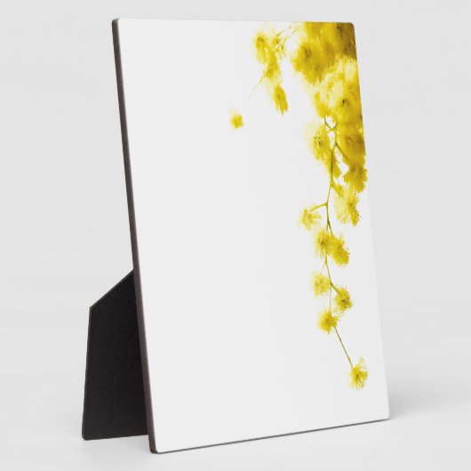 Mimosa Fotoplaat (Zijkant)