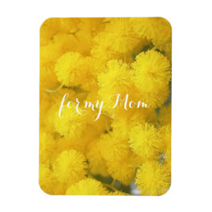 Mimosa. Gele bloemen. Magneet
