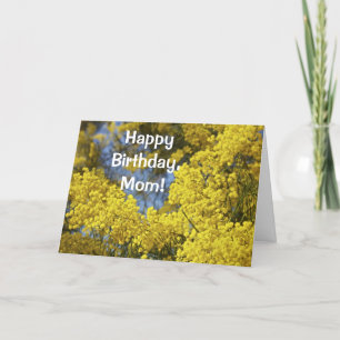 Mimosa in Bloom Happy Birthday Card Kaart