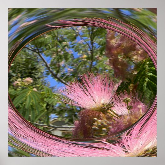 Mimosa... Poster (Voorkant)