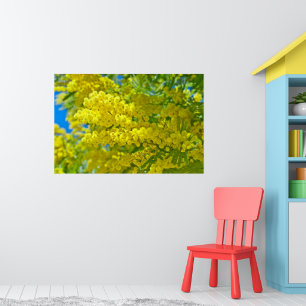 Mimosa Yellow Flower Floral Botanical Photography Poster