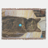 Mims Deken (Voorkant)