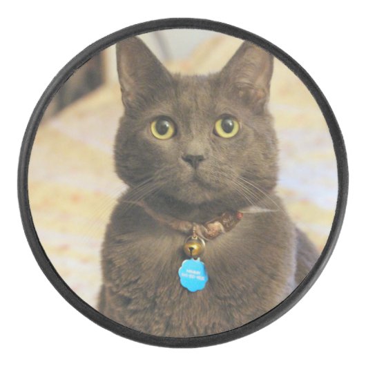 Mims Hockey Puck (Voorkant)