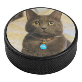 Mims Hockey Puck (3/4)