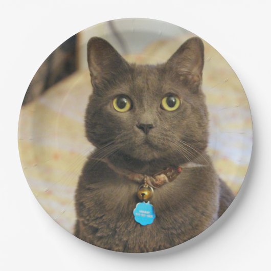 Mims Papieren Bordje (Voorkant)