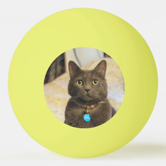 Mims Pingpongballen (Achterkant)