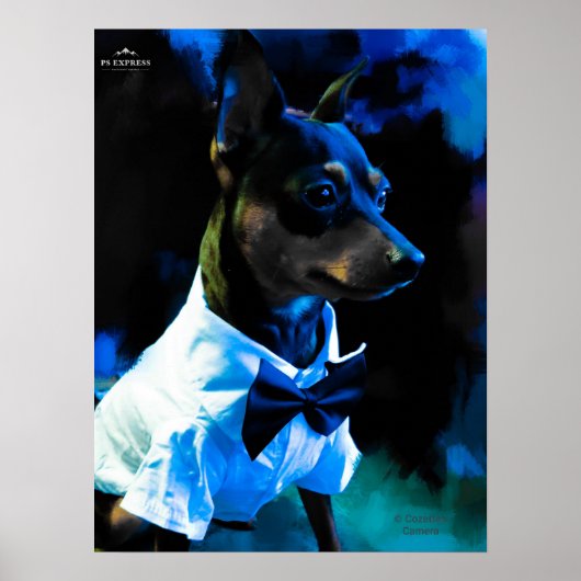 MIn Pin in blauw Poster (Voorkant)