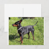 min. pin zwart en roest vol briefkaart (Voorkant / Achterkant)