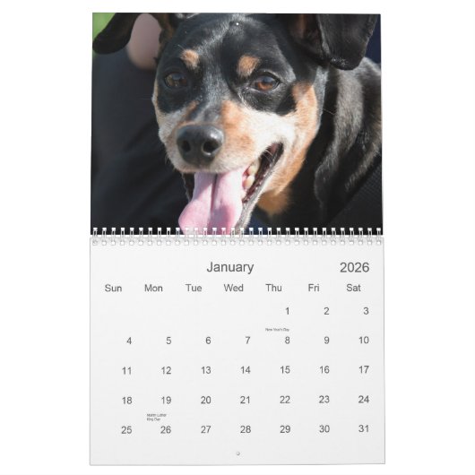Min. Pins 2013 Kalender (Jan 2026)