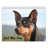 Min. Pins 2013 Kalender (Hoes)