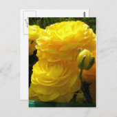 Min Yellow Briefkaart (Voorkant / Achterkant)