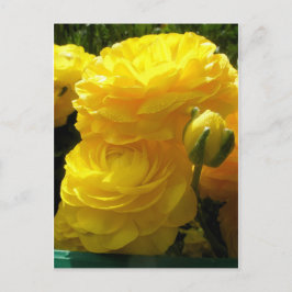 Min Yellow Briefkaart