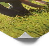 Minari Koreaans Poster (Hoek)