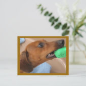 Minature Dachshund Briefkaart (Staand voorkant)
