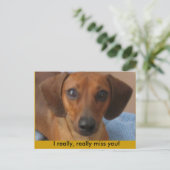 Minature Dachshund Briefkaart (Staand voorkant)