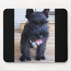 Minature Schnauzer Muismat
