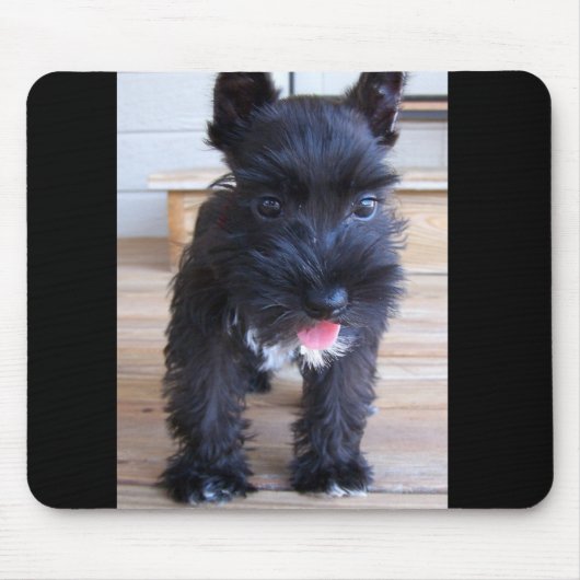 Minature Schnauzer Muismat (Voorkant)
