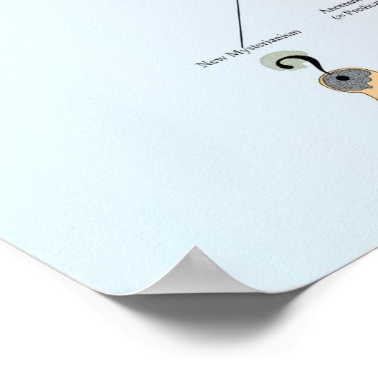 Mind-Body Problem Poster (Coin)