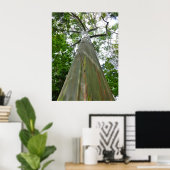 Mindanao Gum Tree Poster (Thuiskantoor)