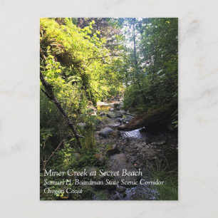 Miner Creek, Samuel H. Boardman, OF Briefkaart