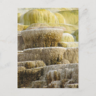 Minerale Herfsten bij de MammoetLentes Wyoming Briefkaart