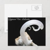 Mineralen & Pareltjes # 3 Briefkaart (Voorkant / Achterkant)