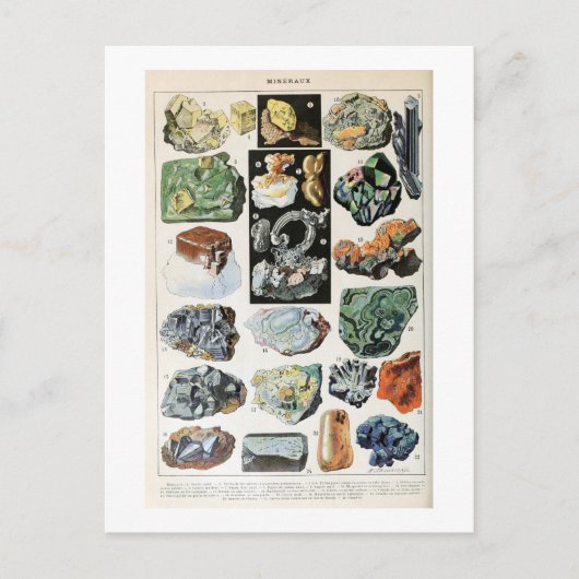  mineralen Rocks Geology Briefkaart (Voorkant)