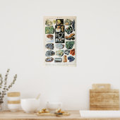  mineralen Rocks Geology Poster (Keuken)