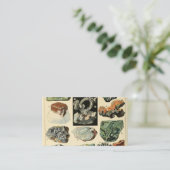  mineralen Rocks Geology Visitekaartje (Staand voorkant)