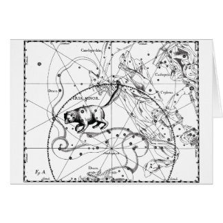 Mineur d'Ursa