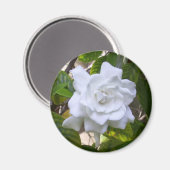 Mini Art Gardenia Magneet (Voorkant / Achterkant)