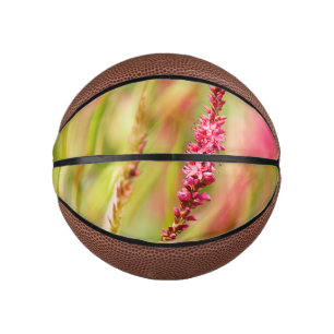Mini Ballon De Basket buisson de couleur