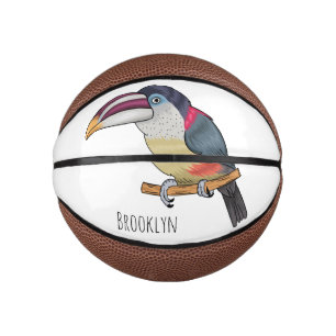 Mini Ballon De Basket Curl crested aracari bird cartoon