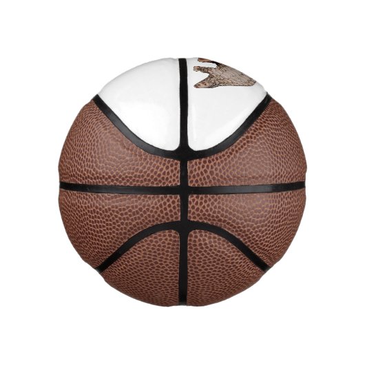 Mini Ballon De Basket Illustration de Pangolin (Droite)