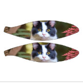 Mini Ballon De Basket Milly Le Chat Ragdoll, Mini Basket (Panneaux)