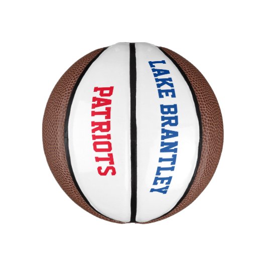 Mini Ballon De Basket MIni LBHS (Vertical)