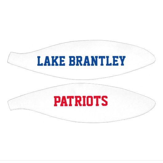 Mini Ballon De Basket MIni LBHS (Panneaux)