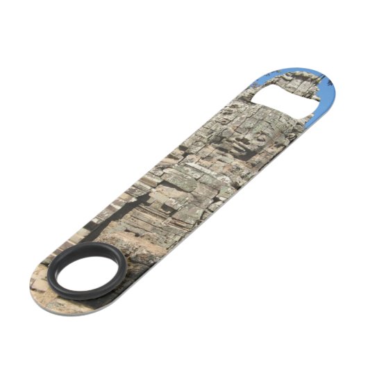 Mini Bayon ... Ta Prohm, Siem Reap, Cambodge (Dos Angle)