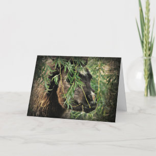 Mini Being Onery, Birthday Kaart