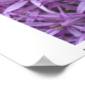 Mini Bumble Bee op Allium Poster (Hoek)