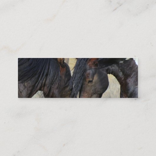 Mini Carte de visite (Dos)